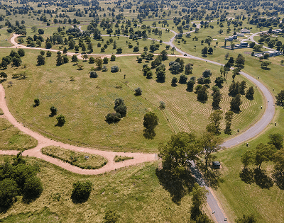Vista aérea de un paisaje verde y exuberante con caminos sinuosos y árboles dispersos.