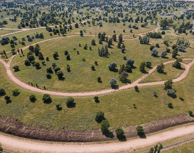 Vista aérea de un paisaje verde con sinuosos senderos de tierra y árboles dispersos.