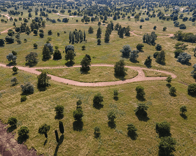 Vista aérea de un sinuoso sendero de tierra que atraviesa un paisaje verde exuberante.