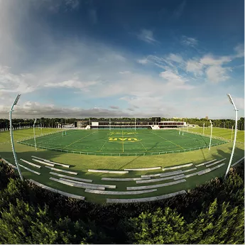 Imagen ilustrativa de una cancha de rugby