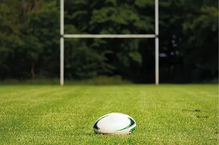 Imagen ilustrativa de una cancha de rugby