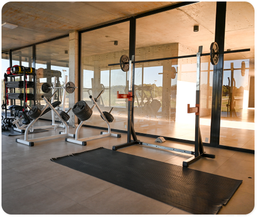 Gimnasio moderno con máquinas de pesas, barras olímpicas y un área de entrenamiento frente a ventanales amplios con vista al exterior.