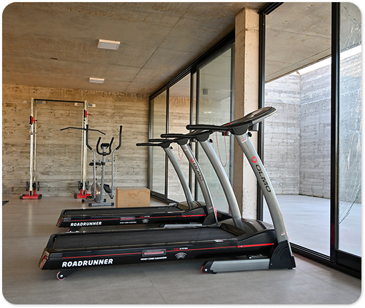 Gimnasio moderno con máquinas de correr un área de entrenamiento frente a ventanales amplios con vista al exterior.
