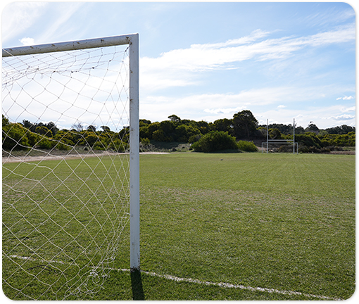 Foto de un campo de futbol visto desde atras de un arbol.