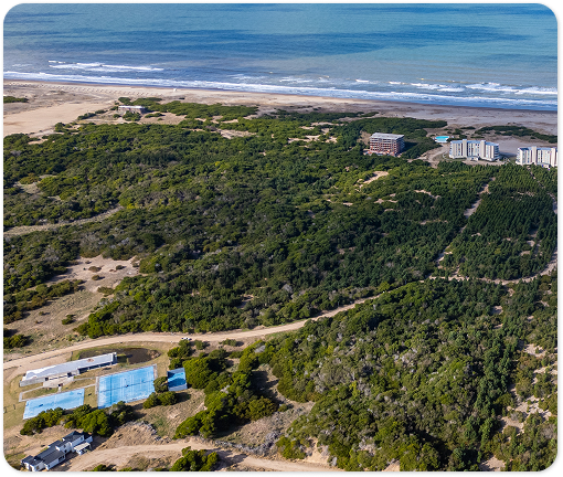 Vista aérea de canchas de tenis y un edificio deportivo rodeados de bosque, con edificios y el mar al fondo